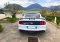 Ford Mustang Fastback 2.3 ecoboost 317cv auto Bianco - thumbnail 5