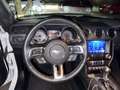 Ford Mustang Fastback 2.3 ecoboost 317cv auto Bianco - thumbnail 10