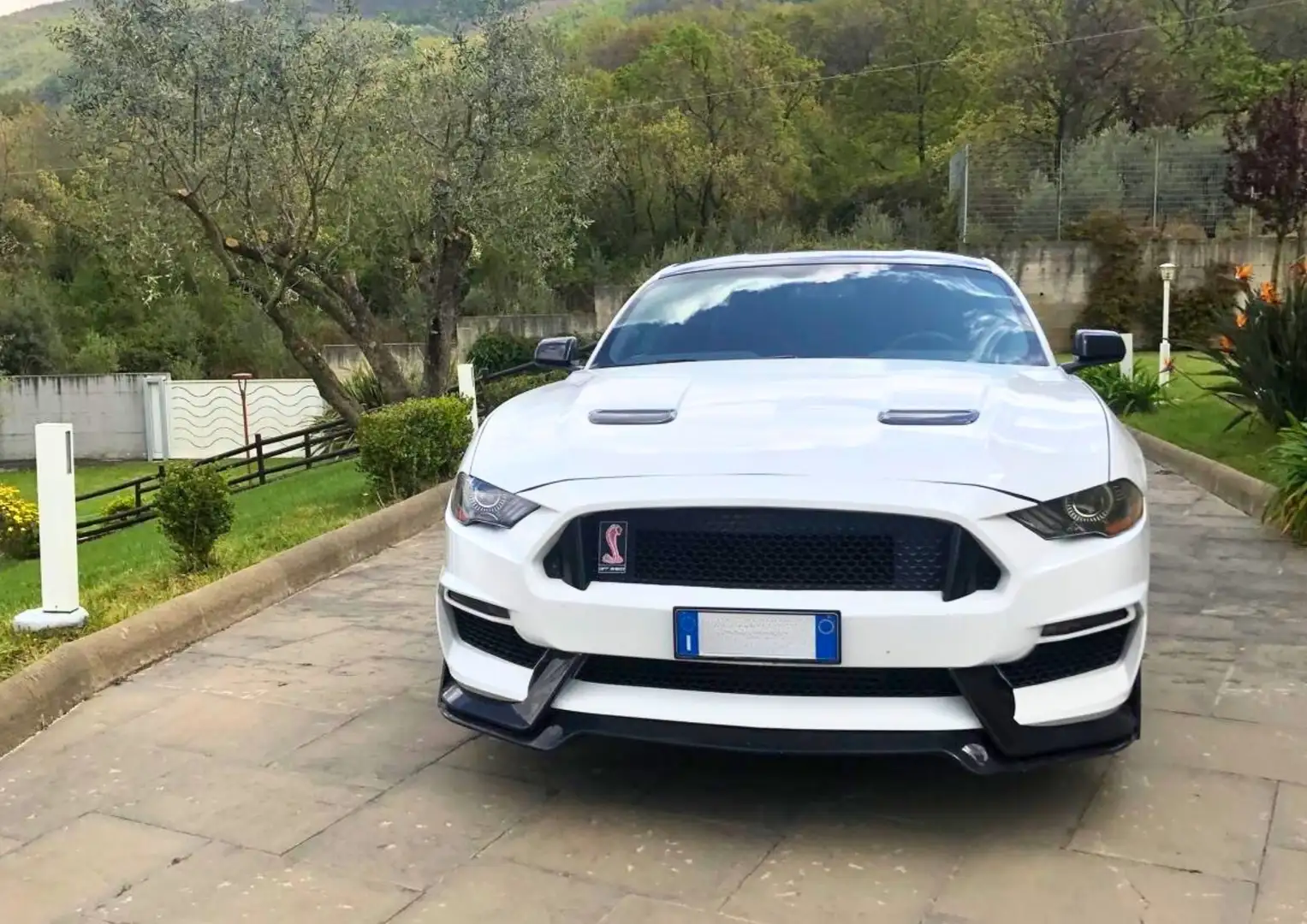 Ford Mustang Fastback 2.3 ecoboost 317cv auto Bianco - 1