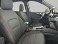 Ford Kuga 2.0 EcoBlue Aut. ST-LINE, AHK, Gjr, Shz Blu/Azzurro - thumbnail 19