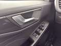 Ford Kuga 2.0 EcoBlue Aut. ST-LINE, AHK, Gjr, Shz Blu/Azzurro - thumbnail 17