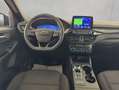 Ford Kuga 2.0 EcoBlue Aut. ST-LINE, AHK, Gjr, Shz Blu/Azzurro - thumbnail 13