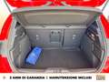 Ford Focus 1.0 ecoboost h st-line x 125cv powershift Rosso - thumbnail 12