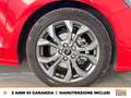 Ford Focus 1.0 ecoboost h st-line x 125cv powershift Rosso - thumbnail 15