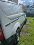 Ford Transit Custom Transit Custom  Variobus 2,0 Weiß - thumbnail 6