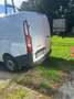 Ford Transit Custom Transit Custom  Variobus 2,0 Weiß - thumbnail 3