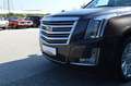 Cadillac Escalade ESV Platinum ESV Grau - thumbnail 18