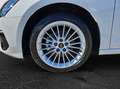 Audi A3 Sportback 30 TFSI advanced NaviPlus SHZ APS GJR... Weiß - thumbnail 6