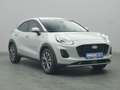 Ford Puma Titanium 125PS/Winter-P./LED/Klima -20%* Grigio - thumbnail 24