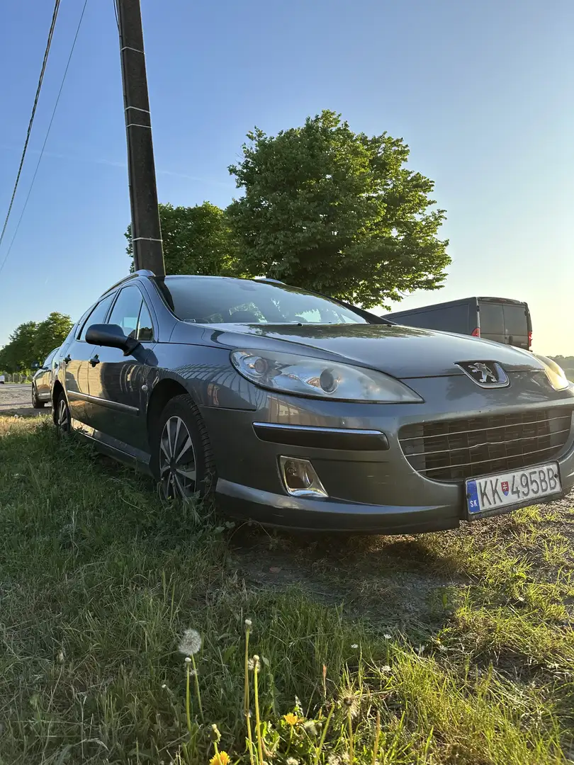 Peugeot 407 SW 2.0 HDi ST Confort FAP - 2