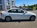 BMW 320 BMW320  Luxury Line Aut.Navi GSD Xenon Leder Eur Weiß - thumbnail 3
