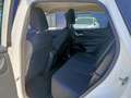 Nissan Qashqai 1.3 mhev Acenta 2wd 140cv Blanc - thumbnail 13