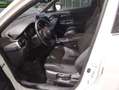 Toyota C-HR 125H Advance Blanco - thumbnail 7