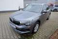 Skoda Kamiq 1.0 TSI DSG Selection Kam/SH/PDC/Temp/Alu Gris - thumbnail 1