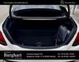 Mercedes-Benz C 300 C 300 d e AMG Line Business/Fahrassistenz/SHD Navi Blanc - thumbnail 6