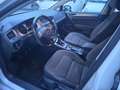 Volkswagen Golf Golf 5p 1.6 tdi (btdi) Comfortline 110cv Blanc - thumbnail 9
