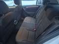 Volkswagen Golf Golf 5p 1.6 tdi (btdi) Comfortline 110cv Blanc - thumbnail 14