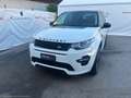Land Rover Discovery Sport 2.0 TD4 150CV HSE Luxury Weiß - thumbnail 3