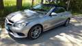 Mercedes-Benz E 350 Cabrio 7G-TRONIC - 24 Monate Garantie inklusive Grau - thumbnail 1