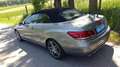 Mercedes-Benz E 350 Cabrio 7G-TRONIC - 24 Monate Garantie inklusive Grau - thumbnail 24