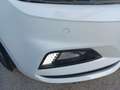 Volkswagen Polo 1.6 TDI 95 CV 5p. Highline BlueMotion Technology Bianco - thumbnail 7
