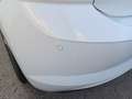 Volkswagen Polo 1.6 TDI 95 CV 5p. Highline BlueMotion Technology Bianco - thumbnail 6
