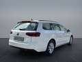 Volkswagen Passat Variant 2.0TDI DSG Matrix/Sthz/Navi/ACC Weiß - thumbnail 7