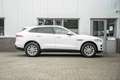 Jaguar F-Pace 2.0 Portfolio AWD 20d | Panoramadak Blanco - thumbnail 9