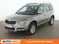 Skoda Yeti 1.4 TSI Ambition Outdoor Aut.*TEMPO*PDC*SHZ* Jaune - thumbnail 1