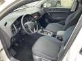 SEAT Ateca Ateca 1.6 TDI Style Bianco - thumbnail 14