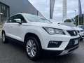 SEAT Ateca Ateca 1.6 TDI Style Bianco - thumbnail 7