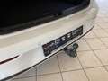 Volkswagen Golf VIII Goal 1.5 TSI BMT (LED.Navi.DAB.ACC.EPH.SHZ) Weiß - thumbnail 18