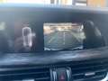Alfa Romeo Stelvio Stelvio 2.2 t Business rwd 160cv auto Blu/Azzurro - thumbnail 13