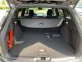Ford Focus Turnier ST-Line X 1.0 EcoBoost Mild-Hybrid EU6e AH Gris - thumbnail 18