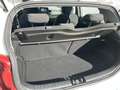 Kia Picanto 1.0 CVVT First Edition Clima Cruise Camera Apple c Blanc - thumbnail 24
