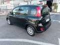 Fiat Panda 3ª serie 1.0 FireFly S&S Hybrid - thumbnail 7