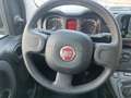 Fiat Panda 3ª serie 1.0 FireFly S&S Hybrid - thumbnail 14
