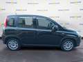 Fiat Panda 3ª serie 1.0 FireFly S&S Hybrid - thumbnail 4