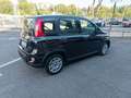 Fiat Panda 3ª serie 1.0 FireFly S&S Hybrid - thumbnail 5
