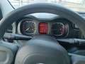 Fiat Panda 3ª serie 1.0 FireFly S&S Hybrid - thumbnail 13