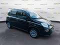 Fiat Panda 3ª serie 1.0 FireFly S&S Hybrid - thumbnail 3