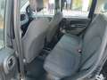 Fiat Panda 3ª serie 1.0 FireFly S&S Hybrid - thumbnail 11