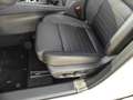 Nissan Qashqai Tekna 1.3 DIG-T MHEV 158PS 6MT Design-Paket HUD Pa Blanc - thumbnail 14
