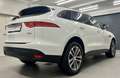 Jaguar F-Pace 20d AWD Aut.*LED*AHK*Kamera*TOP Zustand* Weiß - thumbnail 5