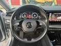 Skoda Octavia 2,0 TDI Ambition DSG Silber - thumbnail 15