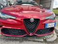 Alfa Romeo Giulia Giulia 2.9 V6 Quadrifoglio 510cv Tetto in Carbonio Rosso - thumbnail 13