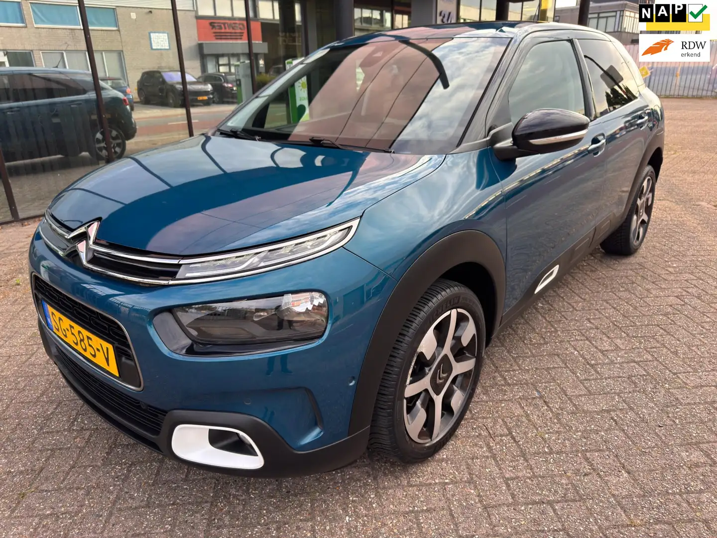 Citroen C4 Cactus 1.2 PureTech Shine / Pano'dak / Camera / Navi / LE Blauw - 1