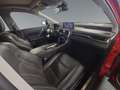 Lexus RX 450h Style Edition +Navi+Kamera+PDC+SHZ+ Rot - thumbnail 16