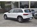 Mercedes-Benz EQB 250 EQB 250+ Plus Electric Art Advanced Plus (Pano Weiß - thumbnail 14