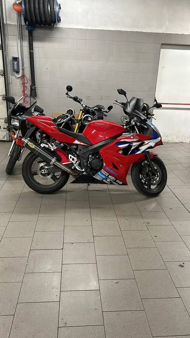 Triumph Daytona 600 - 2